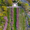 A Soothing Tour Of The Brooklyn Botanic Garden's Cherry Blossoms